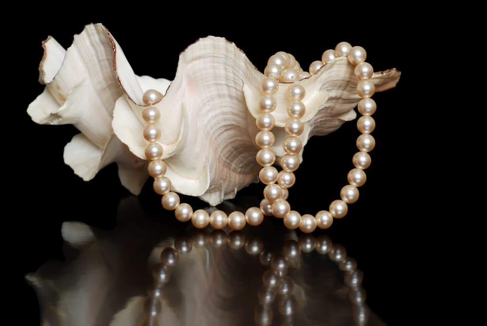 cream pearls